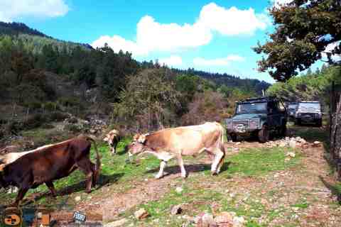 Land Rover tour Sardaigne 4x4
