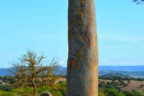 Tour Mtb Sardegna - Mountain Bike Sardegna
