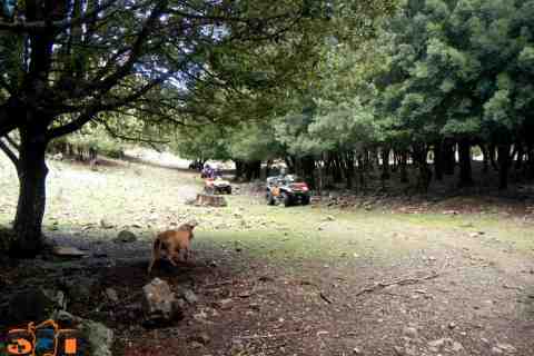 Escursioni Sardegna in Quad