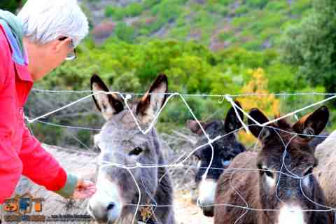 Escursioni Sardegna in fuoristrada