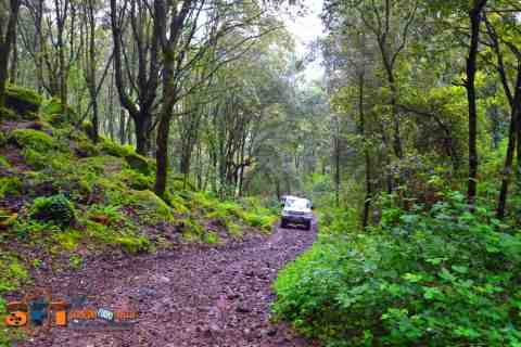Tour off road Sardegna fuori traccia 