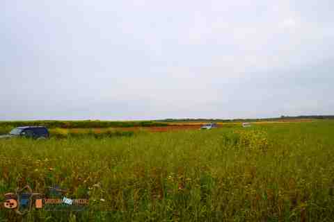 Tour off road Sardegna fuori traccia 
