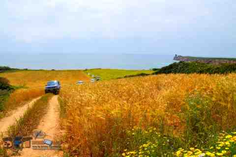 Tour off road Sardegna fuori traccia 