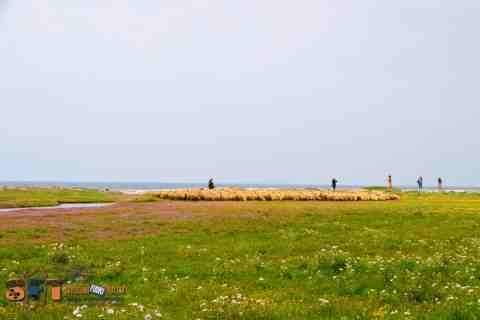 Tour off road Sardegna fuori traccia 