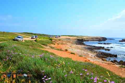Tour off road Sardegna fuori traccia 
