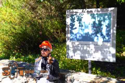 Tour 4x4 Sardegna